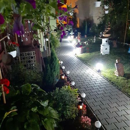 シギショアラCasa Elenaアパートメント エクステリア 写真
