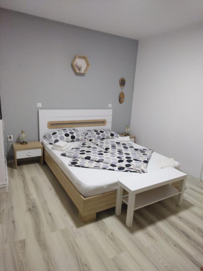 シギショアラCasa Elenaアパートメント エクステリア 写真