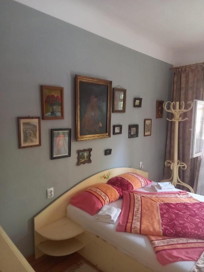 シギショアラCasa Elenaアパートメント エクステリア 写真