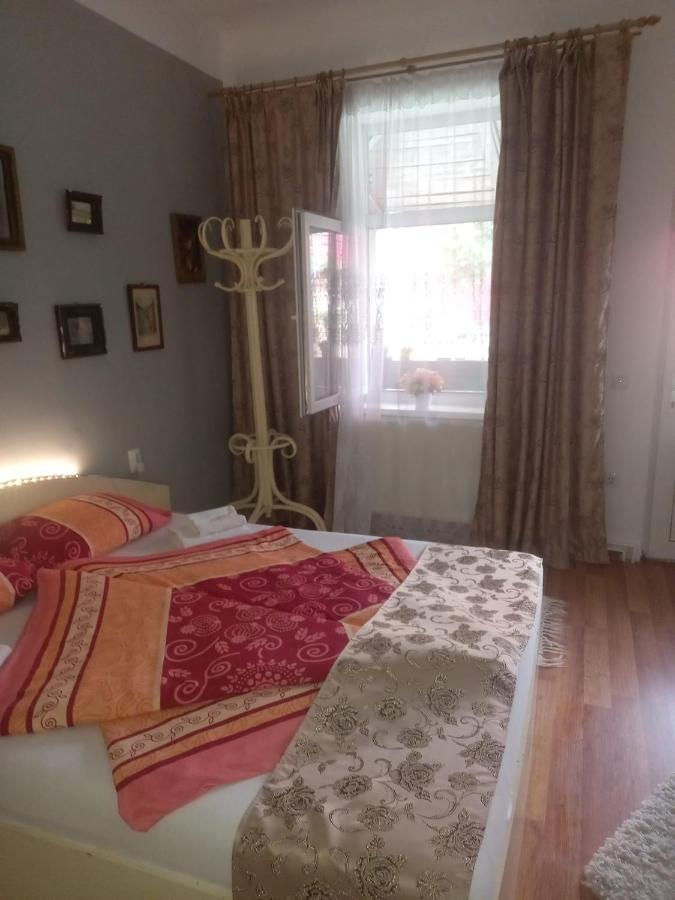 シギショアラCasa Elenaアパートメント エクステリア 写真