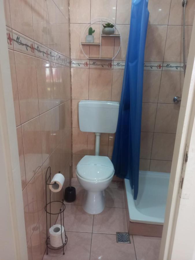 シギショアラCasa Elenaアパートメント エクステリア 写真